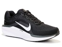 Nike. NIKE AIR WINFLO 11